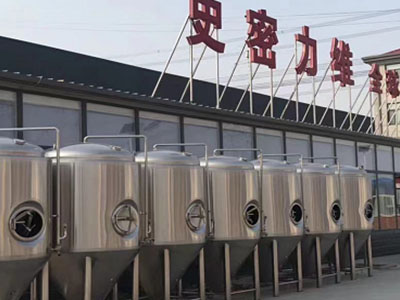伊通精酿啤酒设备厂—如何判断精酿啤酒设备的密封件需要更换？